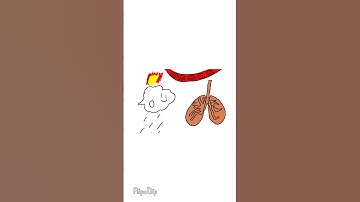 Thumbnail of The Periodic Table Song