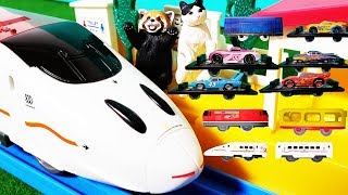 動画サムネイル