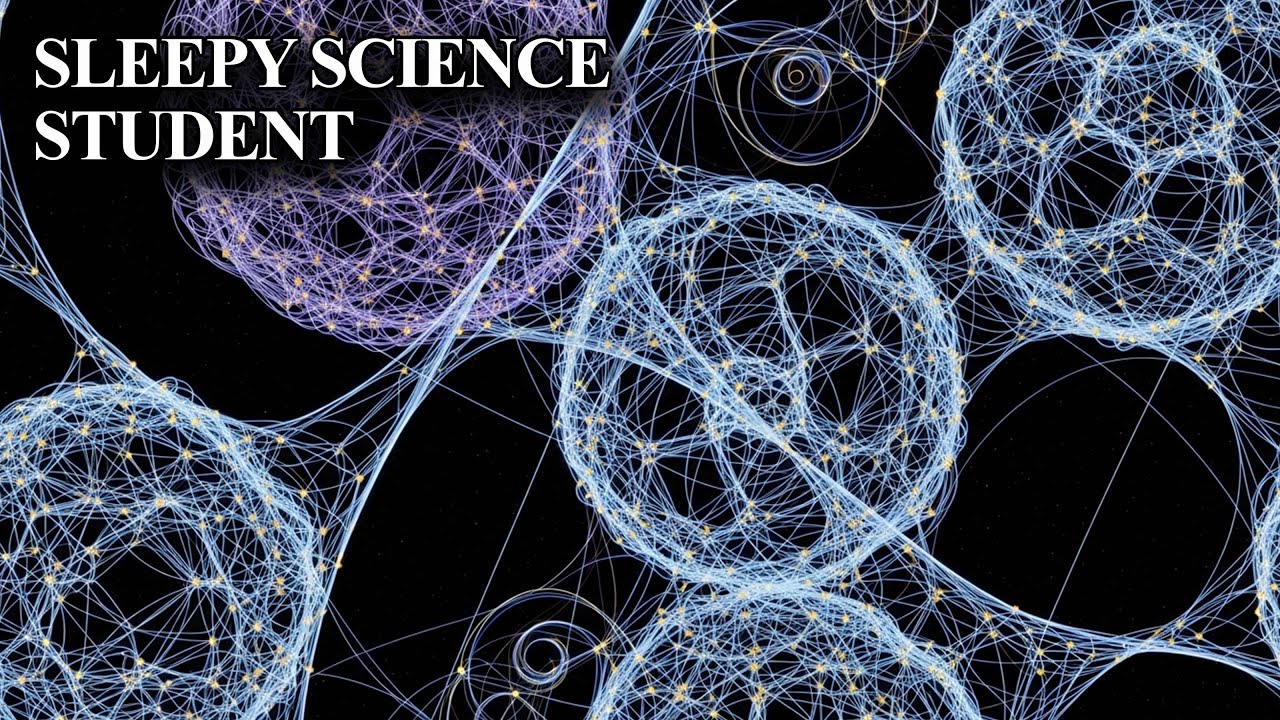 Sleepy Science SLEEPY SCIENCE STUDENT: THE NERVOUS SYSTEM, EXPLAINED SLOWLY - YouTube
