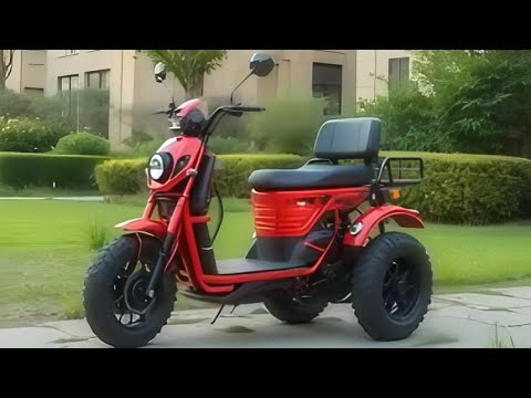 Viribus Electric Trike