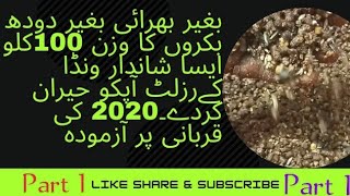 Bakry ko mota karne ka wanda|Qurbani k bakron ka wanda|Bakron ko Farba Karna|بکرے فربہ کرنا|Part 1 Bakry ko mota karne ka wanda|Qurbani k bakron ka wanda|Bakron ko Farba Karna|بکرے فربہ کرنا|Part 1