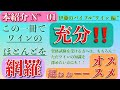 本紹介 N° 01 [伊藤のバイブル "ワイン編"]
