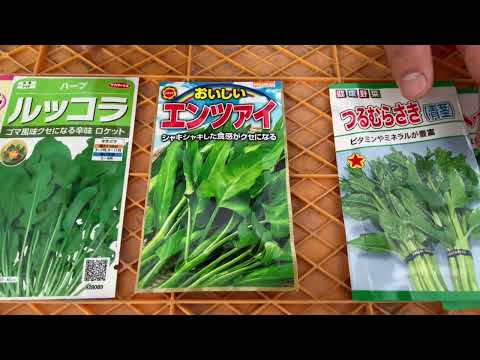 夏の葉物野菜の品種紹介 Youtube