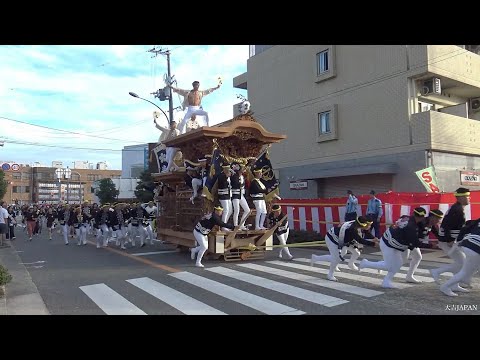 令和7年 熊取だんじり祭 本宮午後曳行 Kumatori Danjiri Matsuri2025