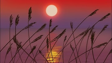 Sunset Procreate Time Lapse