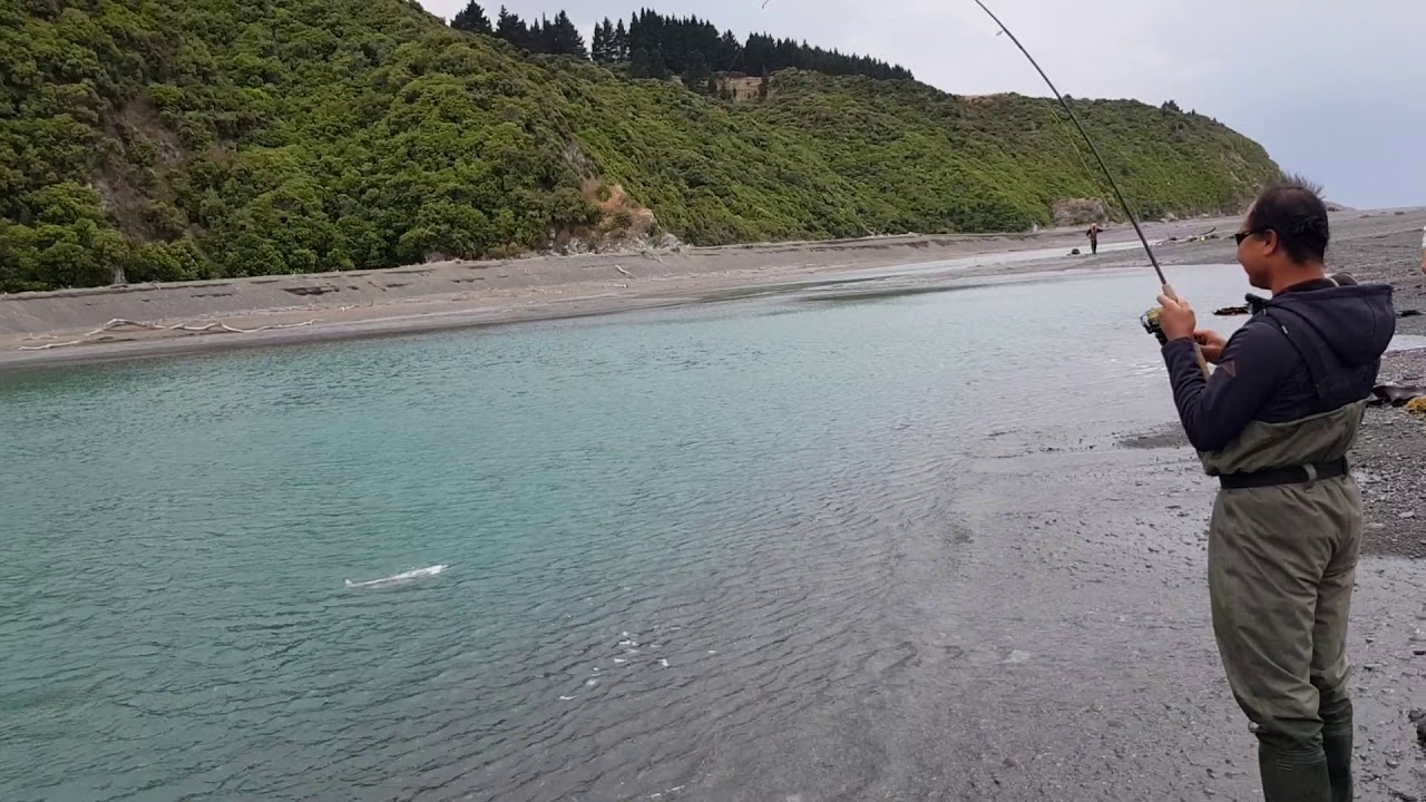 Salmon fishing new Zealand January 2020 - YouTube