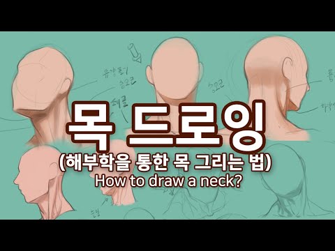해부학을 이용한 목 그리기 - 오쌤인체해부학(Anatomy Teacher O)