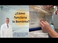 Cómo Funciona La Bombita Cómo Funciona La Bombita
