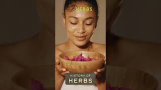 Red Clover Benefits And Healing Properties