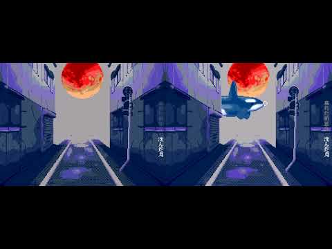 _（シャチ）比較「夏毛」