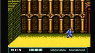 Double Dragon III: The Sacred Stones [NES 104/669]