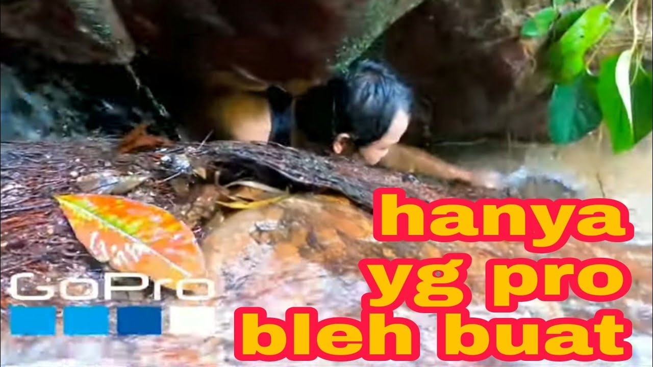 Mencari Ikan Tengas di HUTAN sehingga ke punca air sungai - YouTube