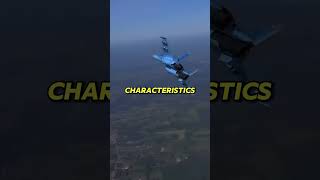 Why does the Su-27 have wings that were deliberately built wrong? #usnavy