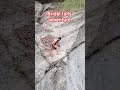 sarap tumalon sa bridal falls tuba benguet