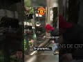 Los fans de Cristiano Ronaldo en estos momentos 😔 #kcdeportes #mdf #manchesterunited #premierleague