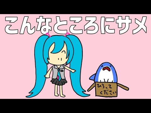 こんなところにサメ - 初音ミク [せなすけ] Official MV