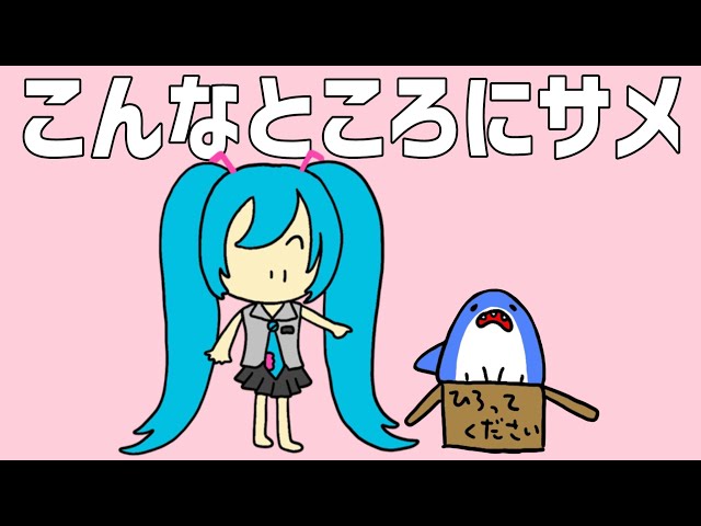 こんなところにサメNEW!せなすけ