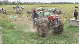 Tractor Powerful Rice Demolishes Farmland - miniature tractor working Stuck in Mudding Agriculture