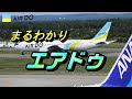 北海道の翼 エアドゥ 破綻したからこそ今がある ここからが楽しみな航空会社【飛行機 統合 リージョナルプラスウイングス】