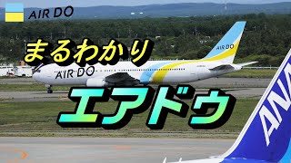 北海道の翼 エアドゥ 破綻したからこそ今がある ここからが楽しみな航空会社【飛行機 統合 リージョナルプラスウイングス】