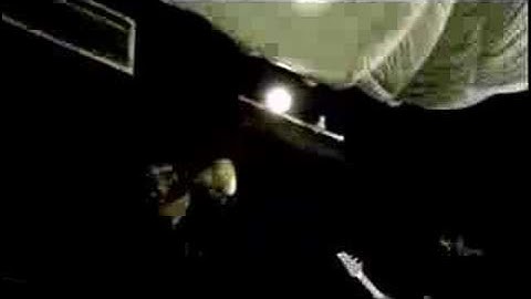 Calico System - They Live