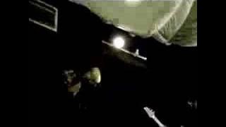 Calico System - They Live