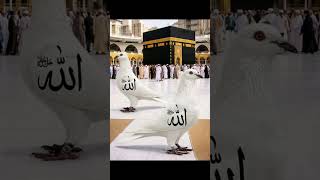 allah likhe