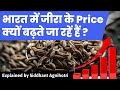 Why are cumin prices at an all time high