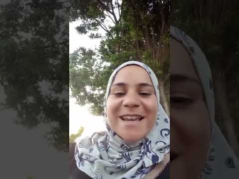 ايه ياصفره احلي مسا عليكي ياصفره يالي شاغله بالك بيا اشتراك في القناة يجيلك الترند