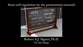 Stem Cell Regulation by the Proteostasis Network - Rob Signer