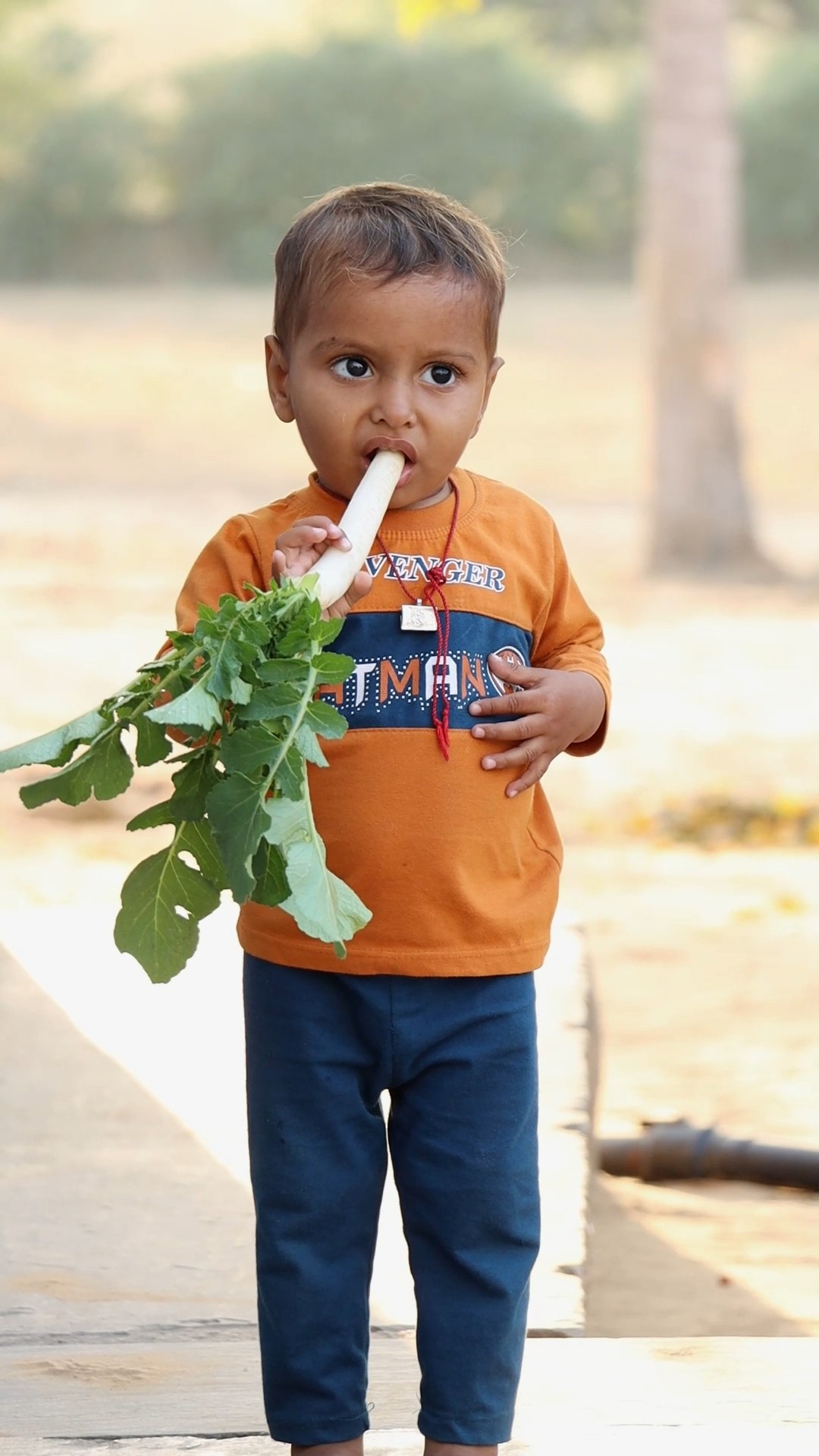 Rudra mulli ? kha gya ?? #shorts #radish #prank