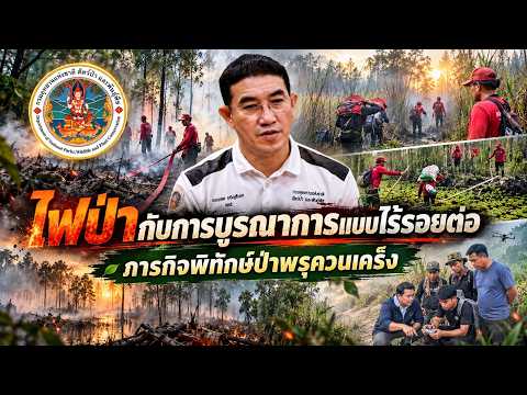 Wildfire and Seamless Integration: The Mission to Protect Khuan Kreng Peat Swamp Forest