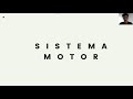 Sistema Motor