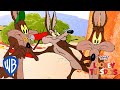 Looney Tuesdays | The Coyote Who Never Gives Up | Looney Tunes | WB Kids