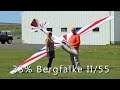 33% Bergfalke II/55 from Pilot-RC