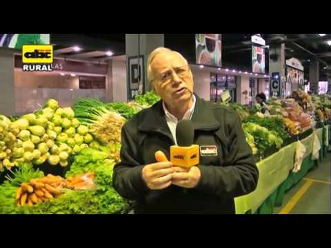 Video: Cómo Elegir Zanahorias