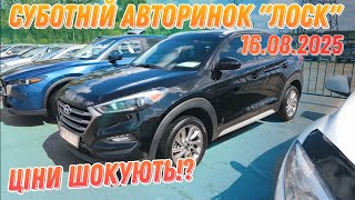 Огляд цін на авто🔥 авторинку Харків Лоск субота 16.08.2025р. ☎️Підбір авто 0506962082 Олексій
