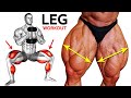 Leg Day Mastery: The Ultimate Guide to Building Strong and Sculpted Legs with Gym 