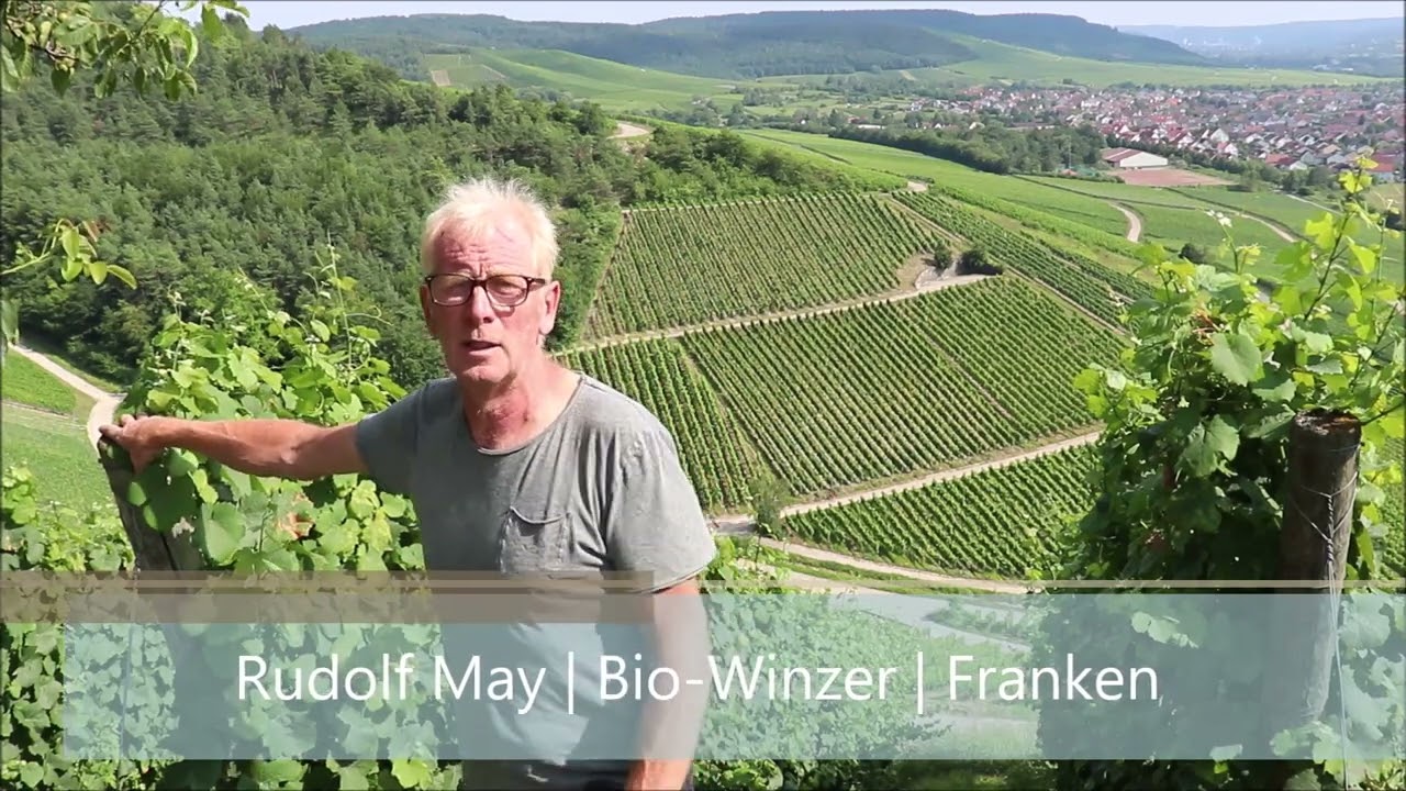 Weingut May | Retzbach | Franken | Benediktusberg