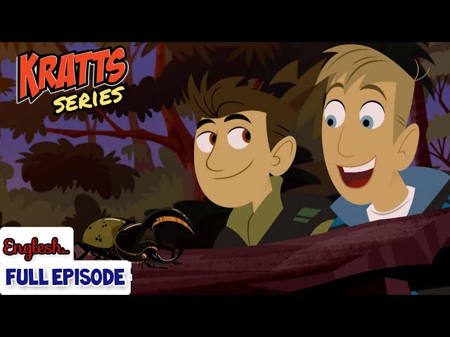 wild Kratts - hercules giant beetle - full episode - English - #krattsseries class=