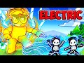 I MAX UPGRADED ELECTRIC FIGHTING in Blox Fruits (roblox)