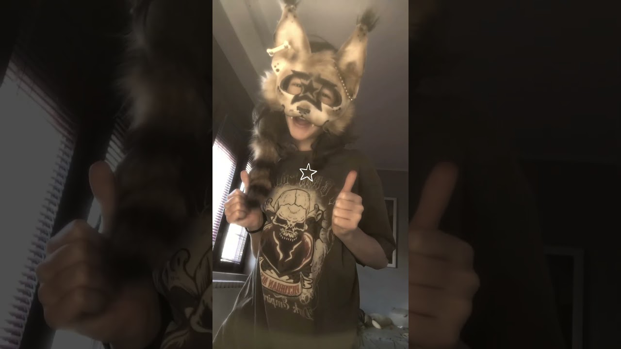 #furry #fypシ #therianthropy #craft #yippee #songs #random #idkwhattoputhere