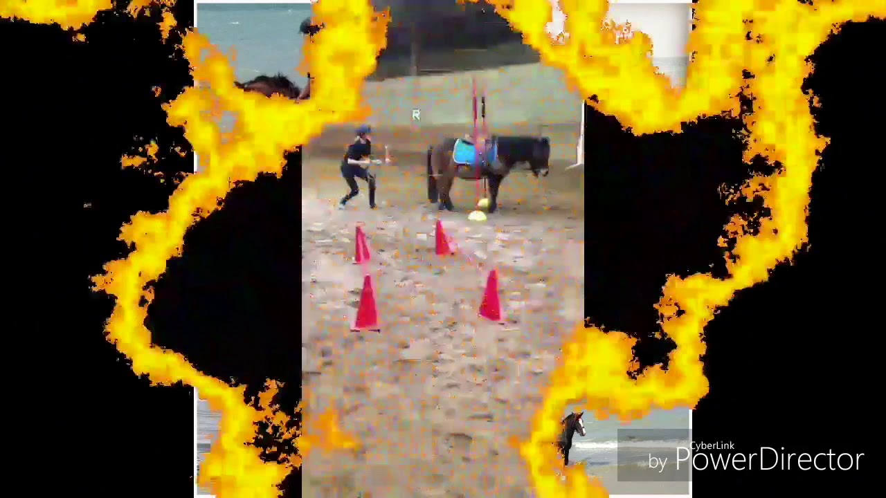 Presentation CLUB HIPPIQUE DE GRANVILLE!!!