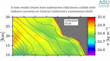 Deep tidal bore collides with nearshore currents