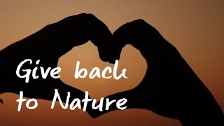 Give Back to Nature -  Green Renaissance