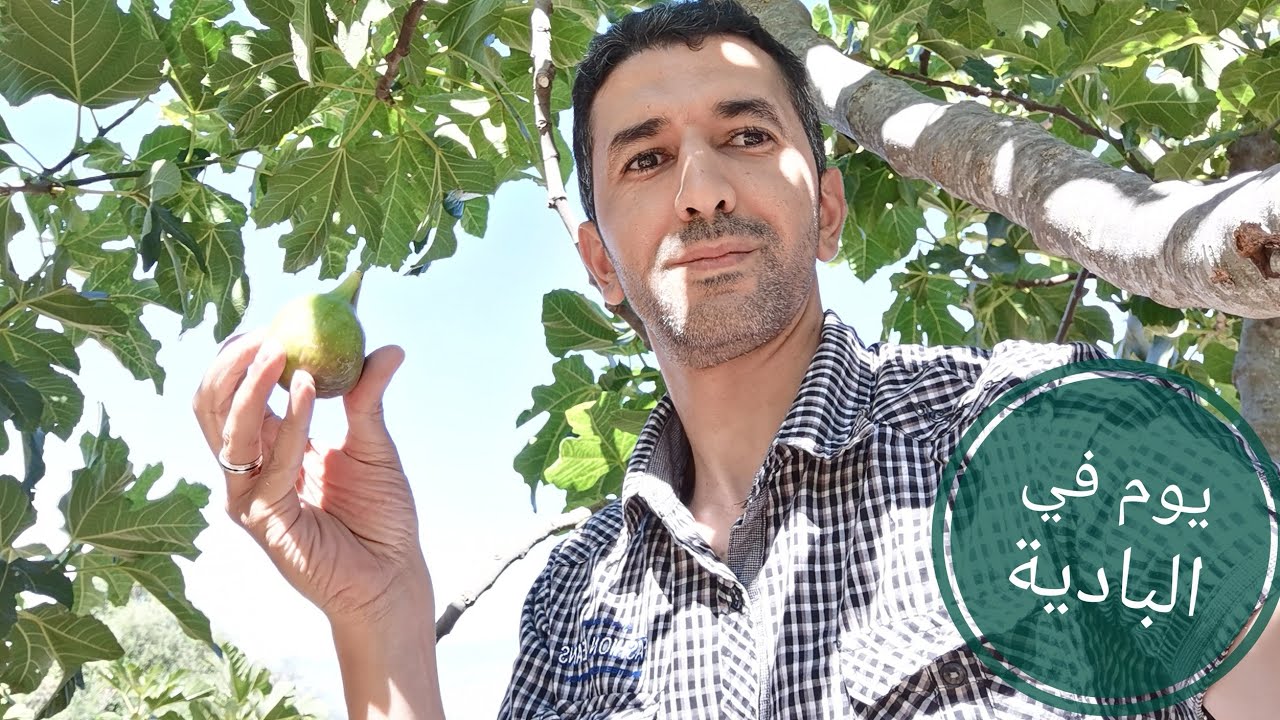 البادية المغربية يوم في احضنها قرية بني عاصم قرب شفشاون