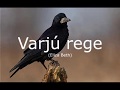 Varjú rege