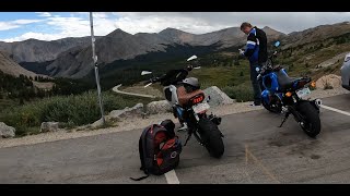 RIPPING Groms at 12,100ft ABOVE sea level! Do they really rip?