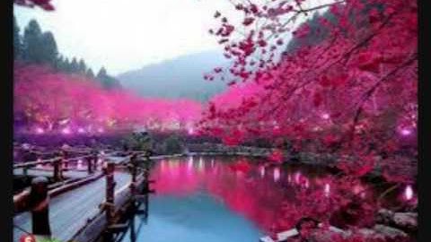 تلاوة سورة النبأ بصوت الشيخ ماهر المعيقلي