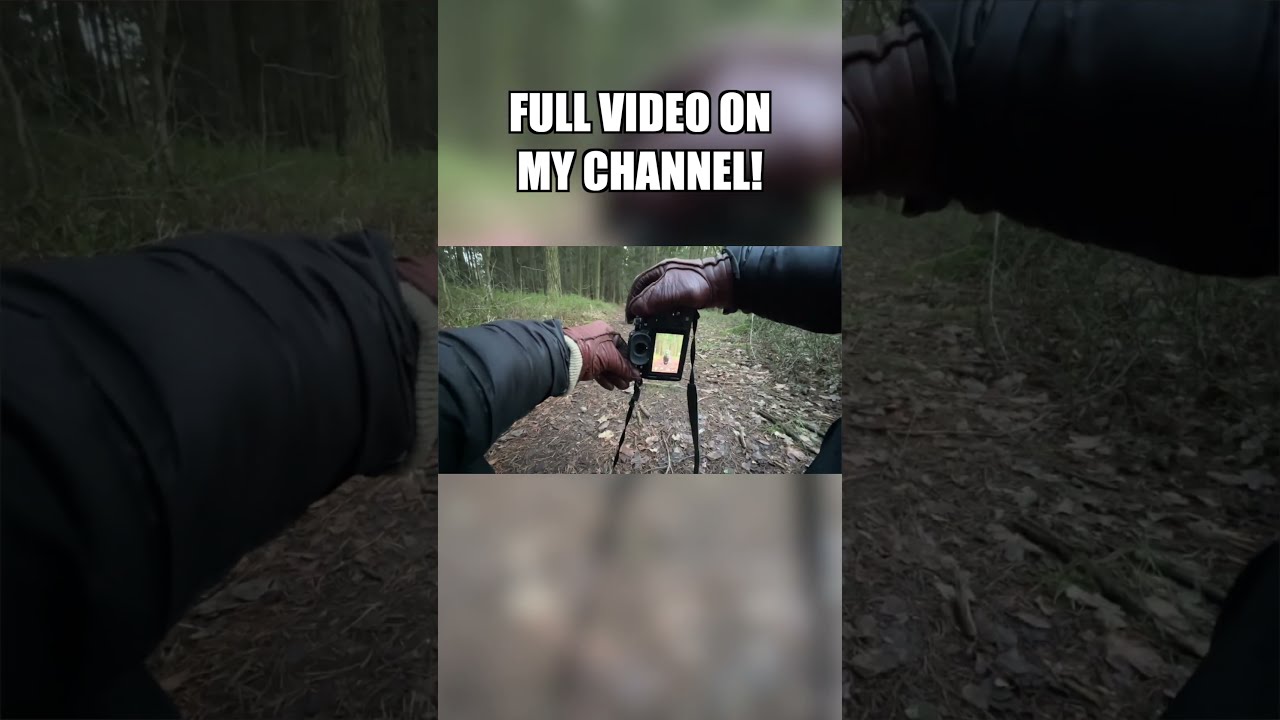 POV NATURE And DOG Photography SHORT